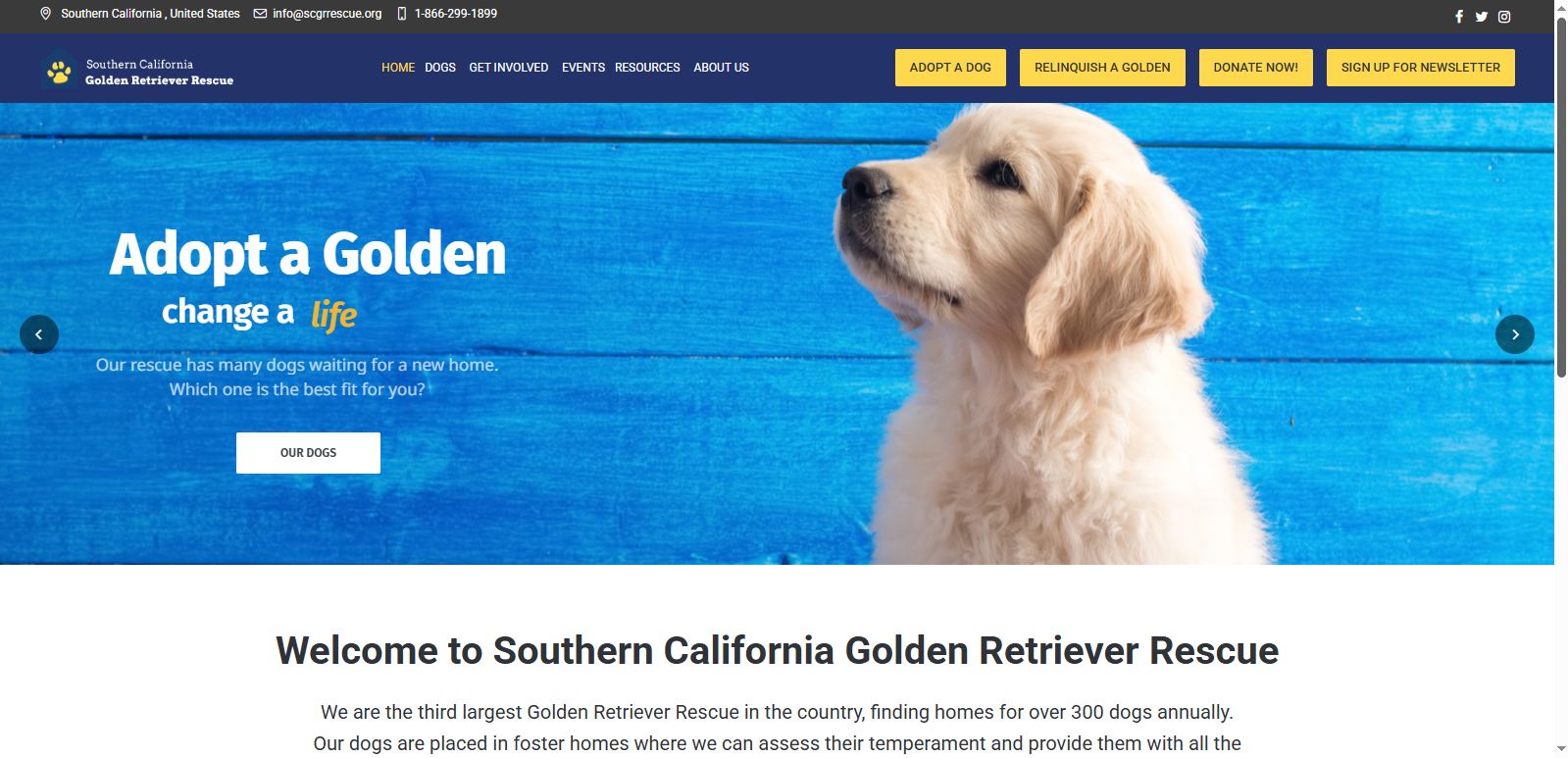 SCGR Rescue - WordPress Website